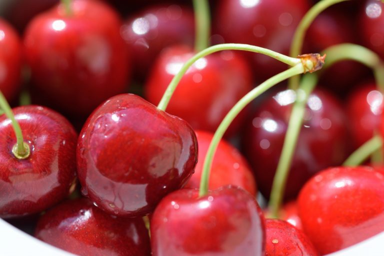 ripe-cherries-bowl